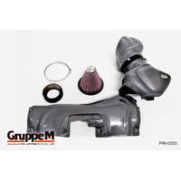 GruppeM Cold Air Intake - Audi RS3 (8V)